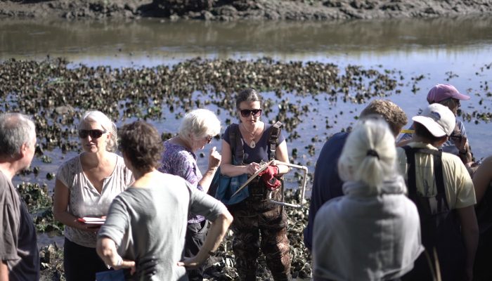 Community Oyster Monitoring